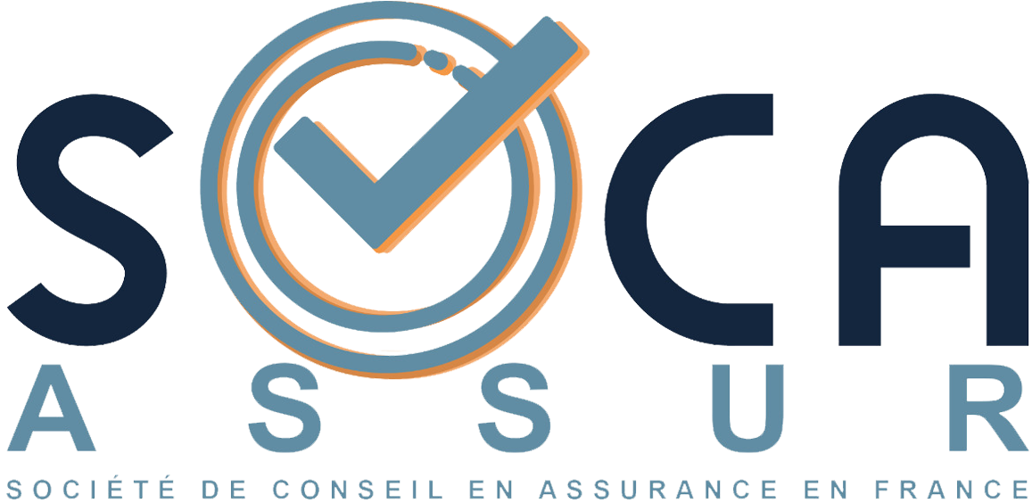 SOCIETE DE CONSEIL EN ASSURANCE EN FRANCE